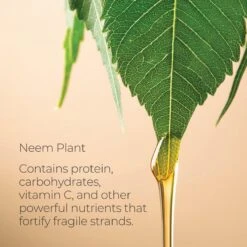 HEALING STRENGTH WHITE TEA SHAMPOO 6 HEALING STRENGTH WHITE TEA SHAMPOO -Cosmetics Store 2205292 alt02