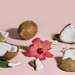 COCONUT & HIBISCUS HAIR MASQUE -Cosmetics Store 2543648 alt03