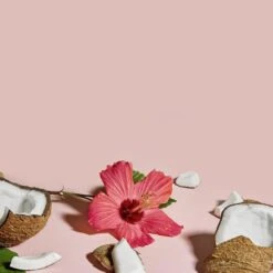 COCONUT & HIBISCUS HAIR MASQUE -Cosmetics Store 2543648 alt04