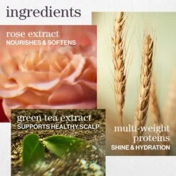 HYDRATE SHAMPOO -Cosmetics Store 2565096cm alt04