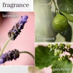 HYDRATE SHAMPOO -Cosmetics Store 2565096cm alt05