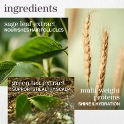 TRAVEL SIZE HYDRATE CONDITIONER -Cosmetics Store 2565101 alt04