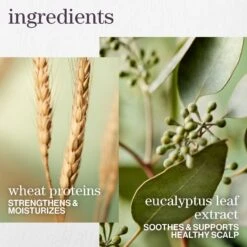 HYDRATE SHEER CONDITIONER -Cosmetics Store 2565104cm alt03