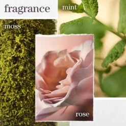 HYDRATE SHEER CONDITIONER -Cosmetics Store 2565104cm alt04