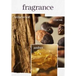 SMOOTH PERFECTION SHAMPOO -Cosmetics Store 2565115cm alt04