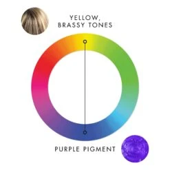 Klorane ANTI-YELLOWING SHAMPOO WITH CENTAURY -Cosmetics Store 2586832cm alt05