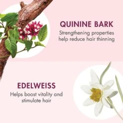 Klorane STRENGTHENING SERUM WITH QUININE AND EDELWEISS -Cosmetics Store 2586835cm alt03