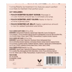 FEELING PEACHY LIP TREATMENT KIT -Cosmetics Store 2587787cm alt02