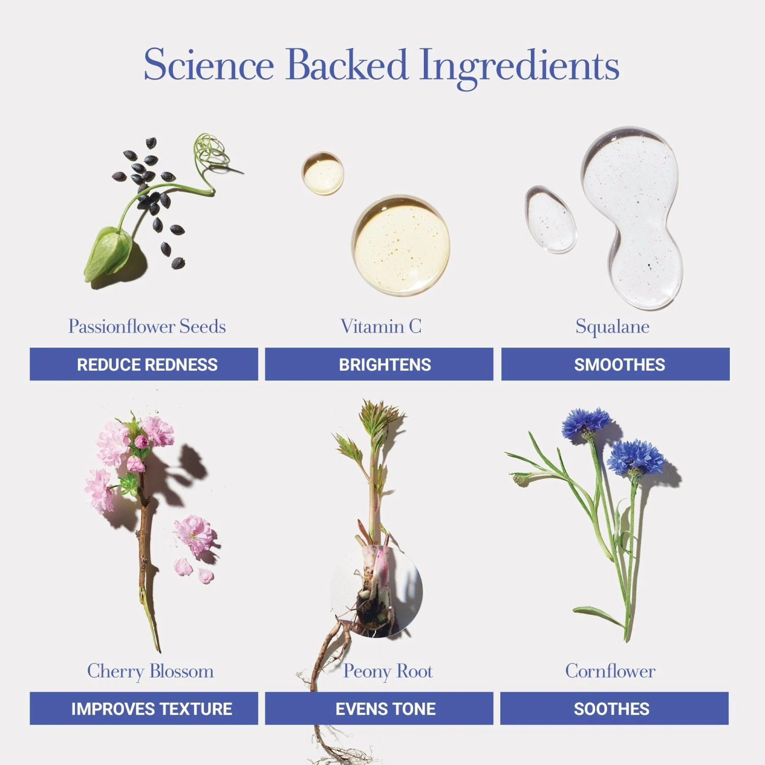 Fresh FLORAL RECOVERY CALMING MASK 3 Fresh FLORAL RECOVERY CALMING MASK - Image 3