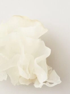 NOURISH SNOW MUSHROOM MOISTURE MASK 7 NOURISH SNOW MUSHROOM MOISTURE MASK -Cosmetics Store 2600002 alt03