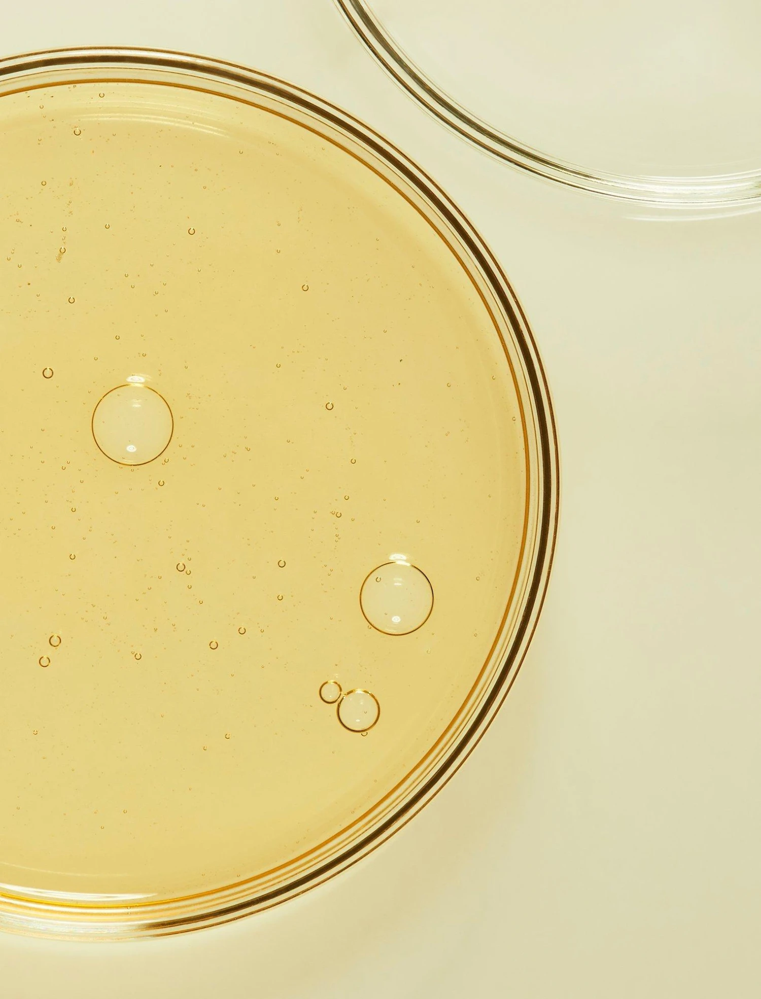 THE OIL EXTRA-VIRGIN ARGAN SMOOTHING OIL 3 THE OIL EXTRA-VIRGIN ARGAN SMOOTHING OIL - Image 3