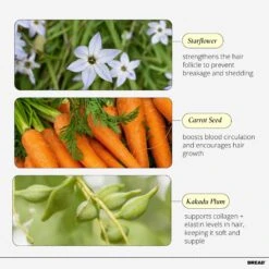 HAIR-MASK DEEP CONDITIONER 9 HAIR-MASK DEEP CONDITIONER -Cosmetics Store 2603163 alt02