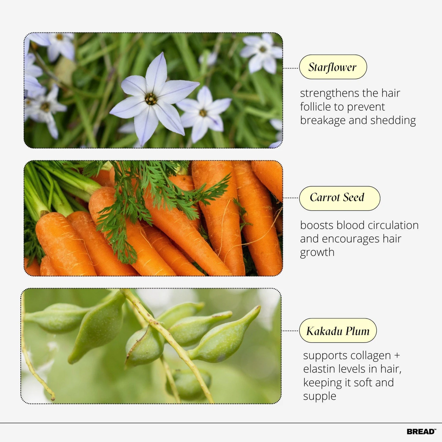 HAIR-MASK DEEP CONDITIONER 3 HAIR-MASK DEEP CONDITIONER - Image 3