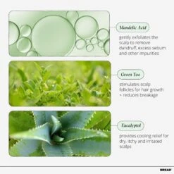 SCALP-SERUM EXFOLIATING SCALP TREATMENT 9 SCALP-SERUM EXFOLIATING SCALP TREATMENT -Cosmetics Store 2603167 alt02