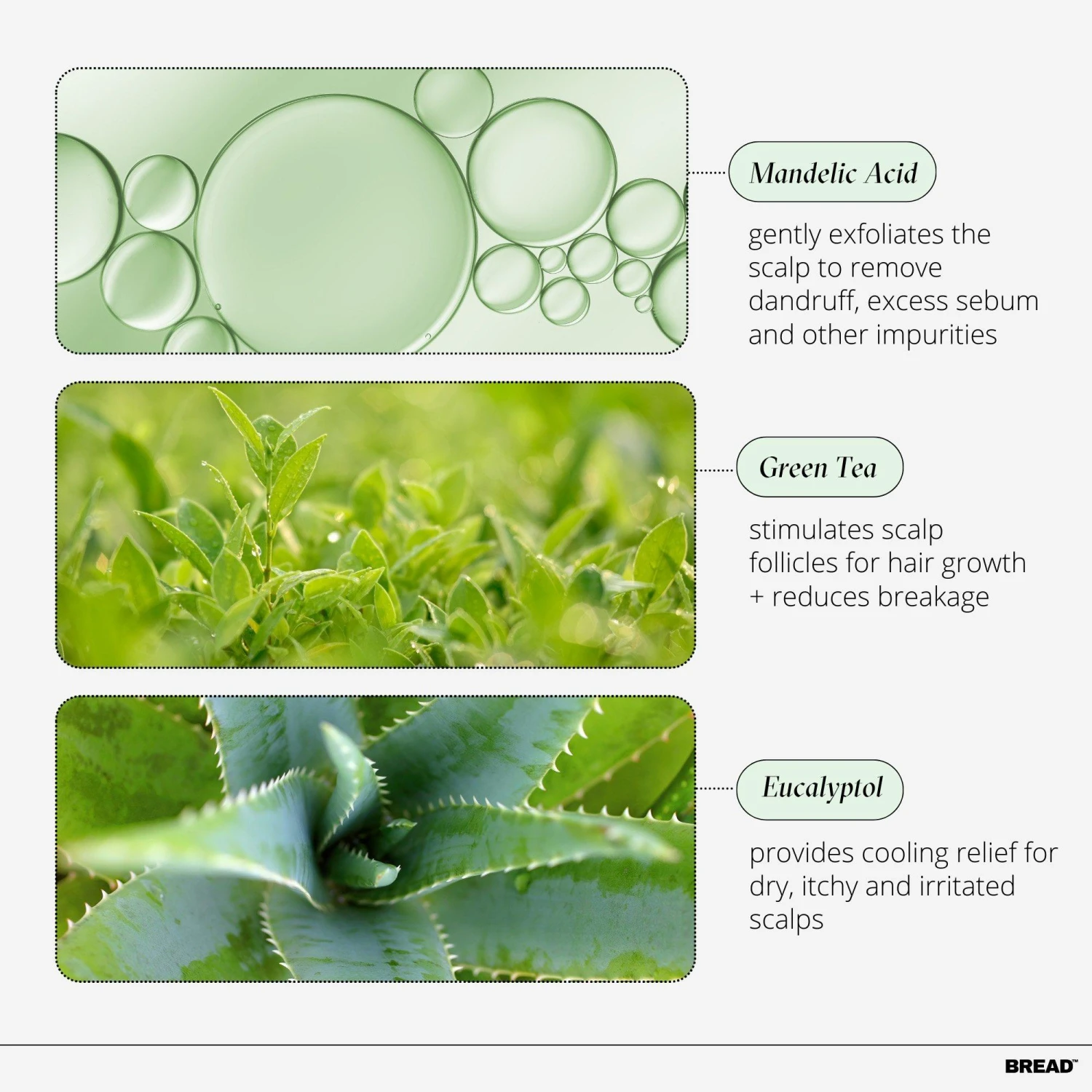 SCALP-SERUM EXFOLIATING SCALP TREATMENT 3 SCALP-SERUM EXFOLIATING SCALP TREATMENT - Image 3