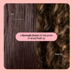 CLARIFY SHAMPOO -Cosmetics Store 2603759 alt04