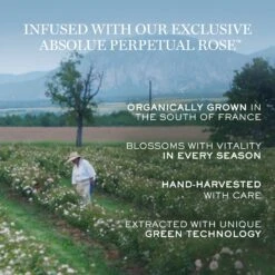 Lancome ABSOLUE THE SERUM 14 Lancome ABSOLUE THE SERUM -Cosmetics Store 2606175 alt04