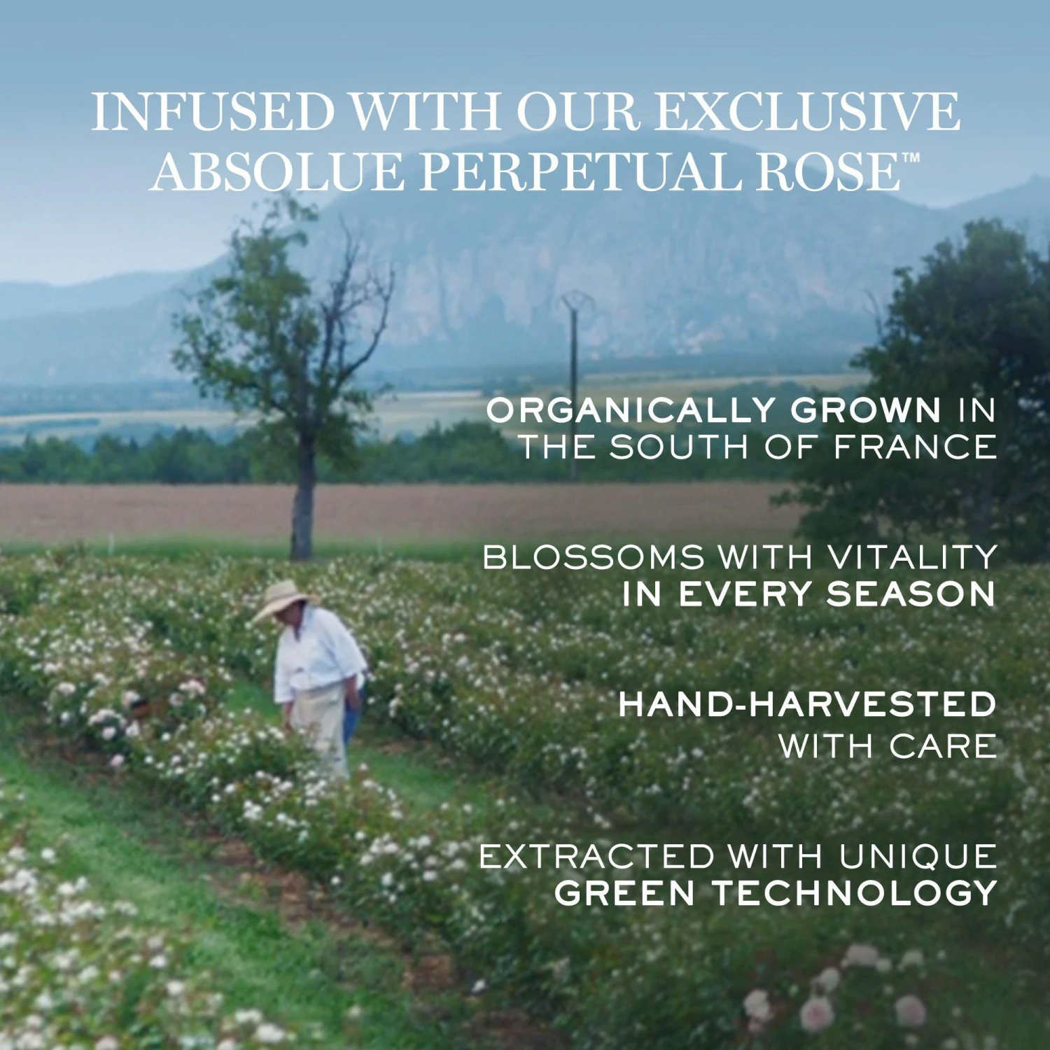 Lancome ABSOLUE THE SERUM 5 Lancome ABSOLUE THE SERUM - Image 5